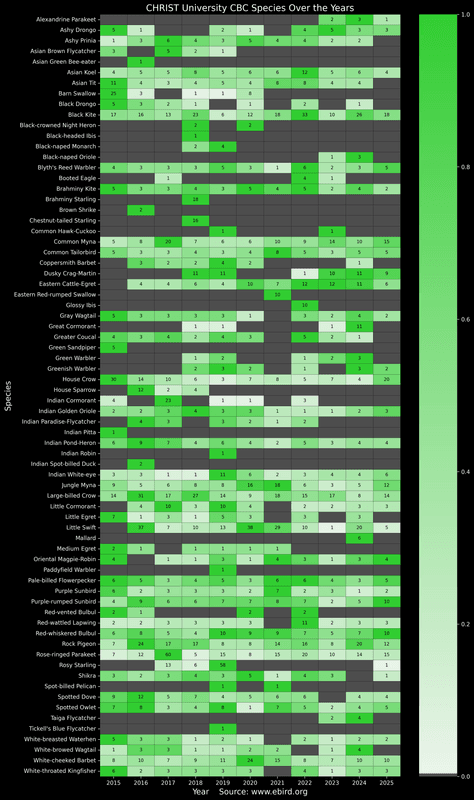 My Campus and Bird Count Analyses